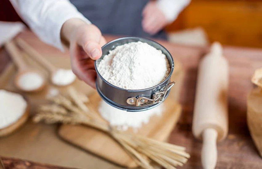 Types and Uses of Grain Grinders – A Guide