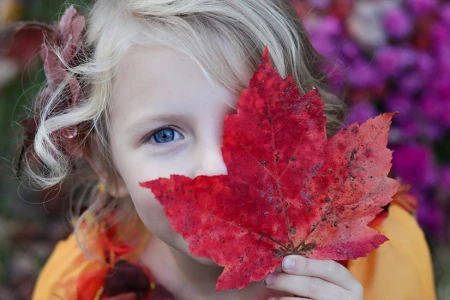 Natural Oils for Boosting Children’s Immunity – Effective Protection Against Illnesses and Viruses