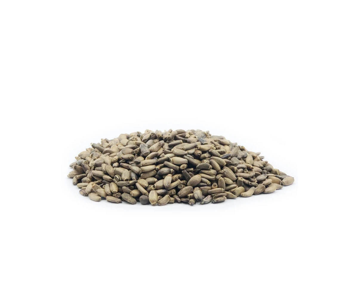 seeds-for-oil-pressing