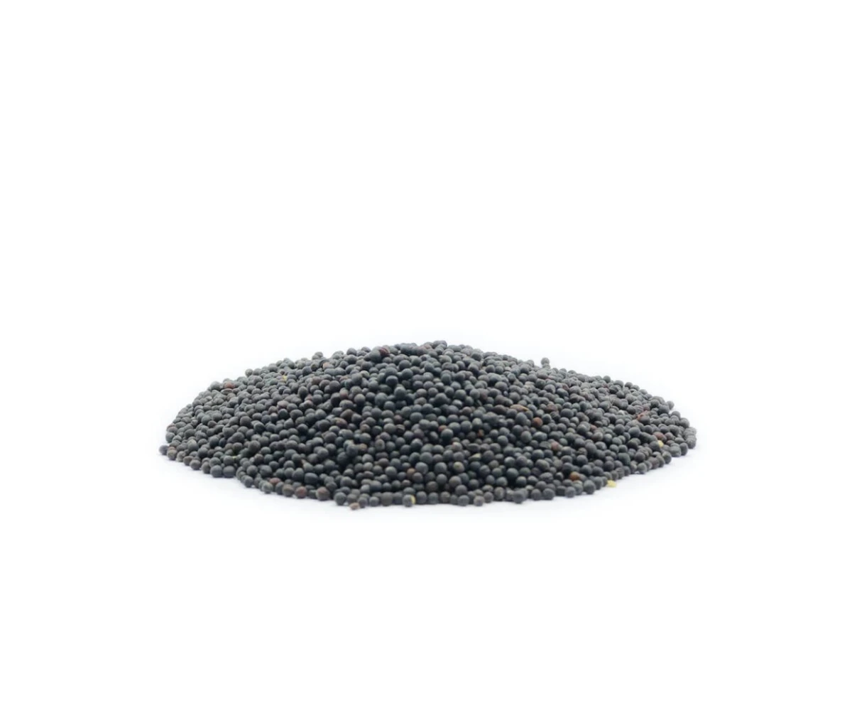 rapeseed-seeds-1kg