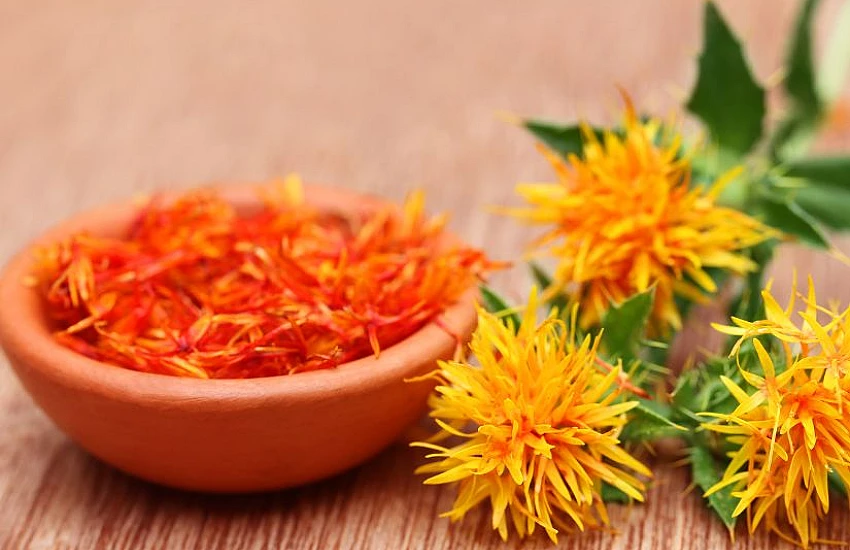Safflower – properties, uses, and health benefits