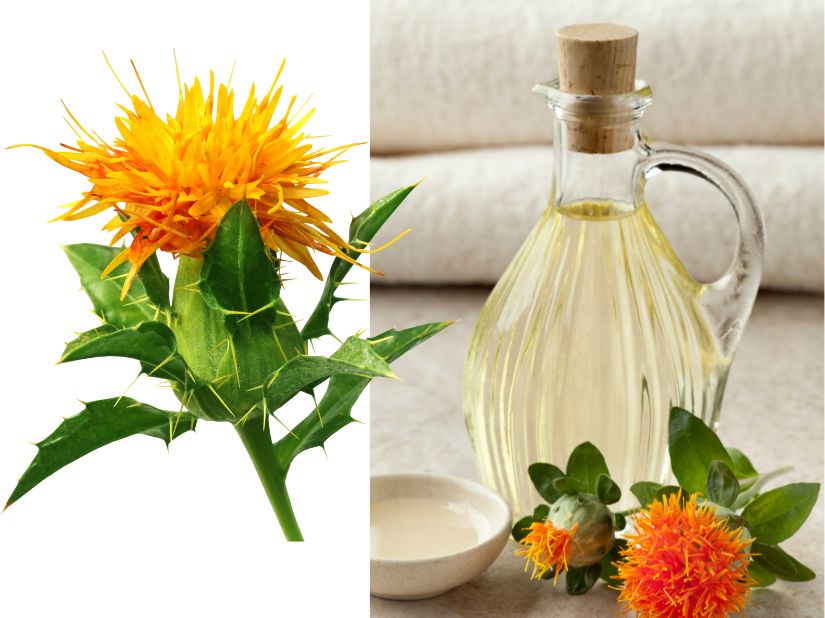 safflower
