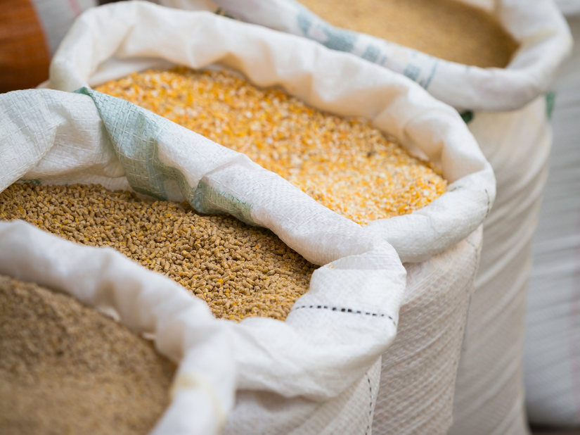 vegetable oils used in animal feed