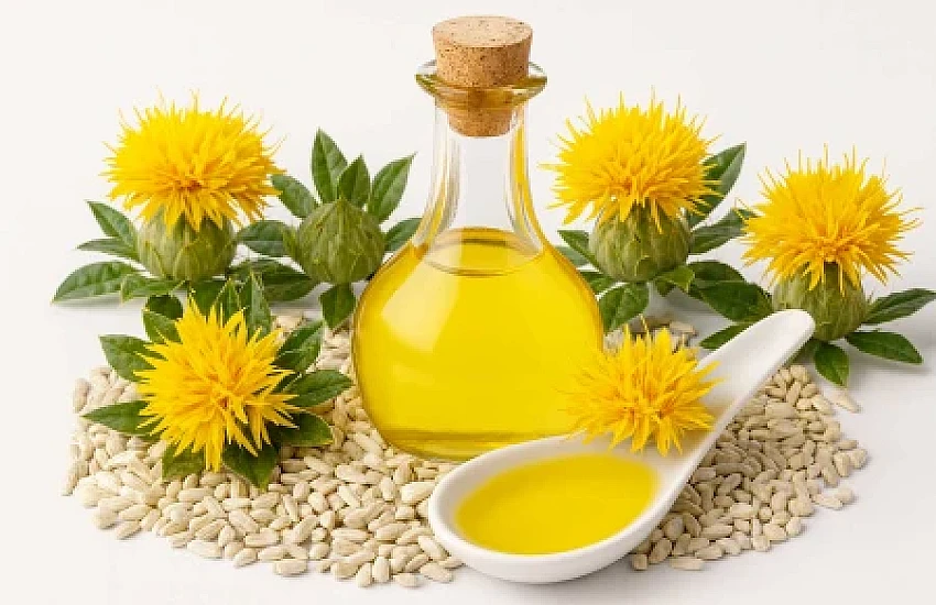 Safflower – The Forgotten Treasure of Polish Fields and Its Golden Oil