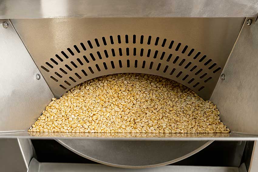 seeds in a roaster