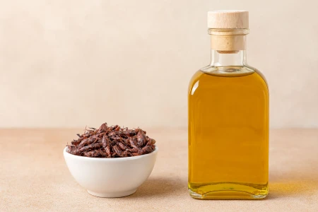 Insect Oil – Revolutionary Alternative or Marketing Myth? Everything You Need to Know About the New Trend in Healthy Nutrition