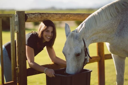 Oil Cake  in Horse Feeding: A Natural Way to Enhance Feed Nutritional Value in 2025