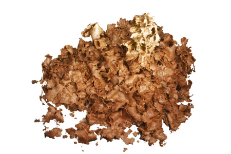 Products of oilseed pressing on a farm